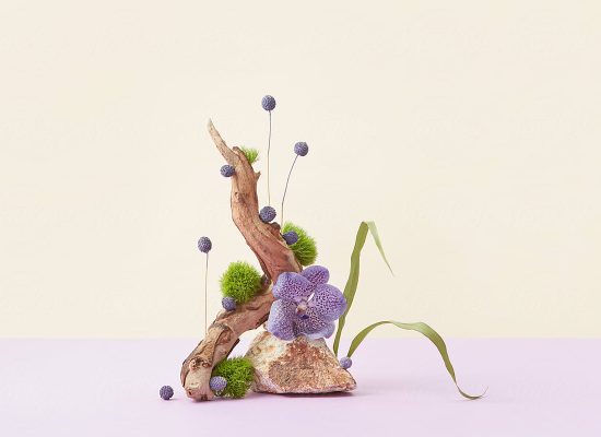 Wooden podium with green moss and orchid flower on beige and lilac background with place for text. Product display decorated with natural flowers and plants.